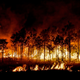 Illustration for article titled And that now makes two massive wildfires caused by gender reveal parties